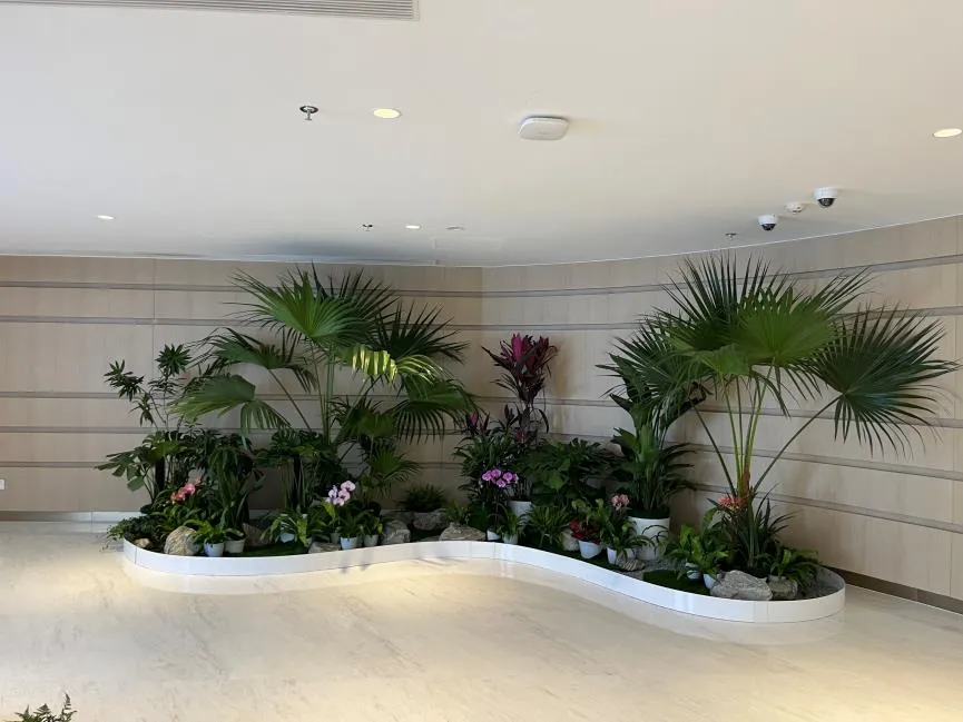 了解宁波余姚花木租赁方案，焕新你的环境！